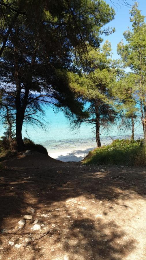 Villa Sandra Kriopigi Dış mekan fotoğraf